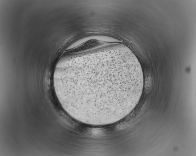 X0000116800264201001151129
