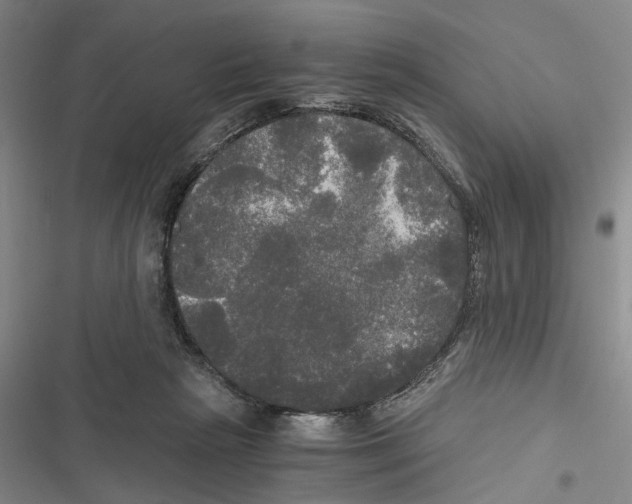 X0000116800265201001151129
