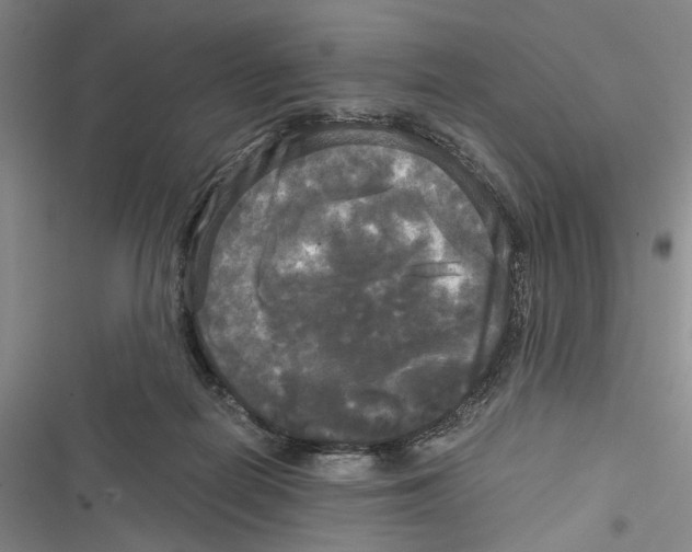 X0000116800266201001151129
