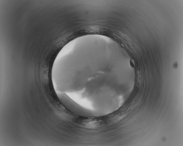 X0000116800267201001151129