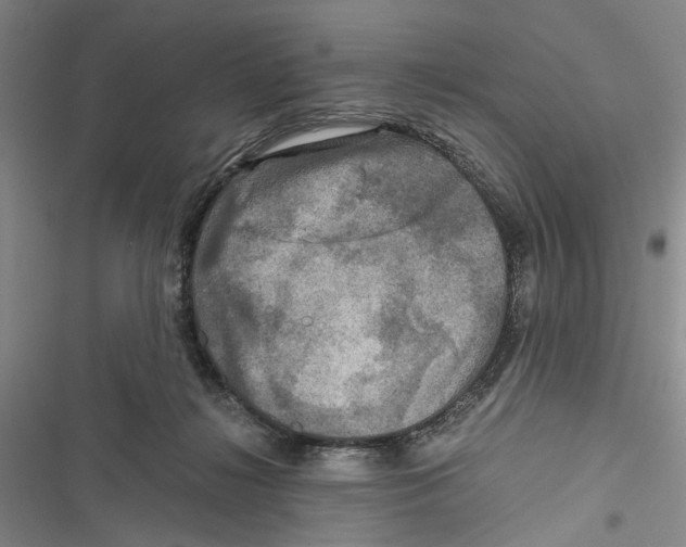 X0000116800268201001151129