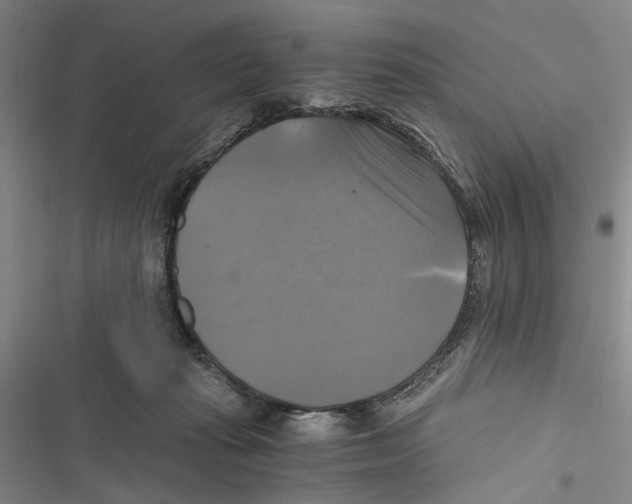 X0000116800269201001151129