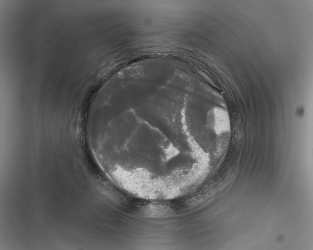 X0000116800270201001151129