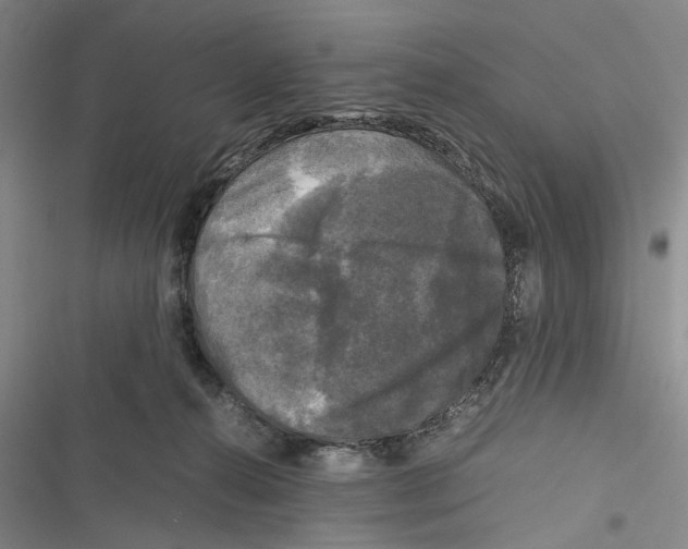 X0000116800272201001151129