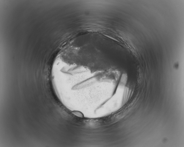 X0000116800273201001151129