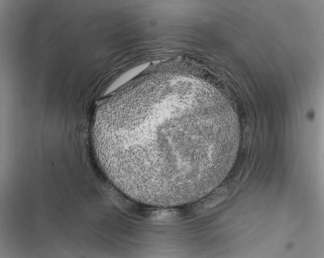 X0000116800274201001151129