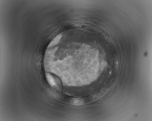 X0000116800275201001151129