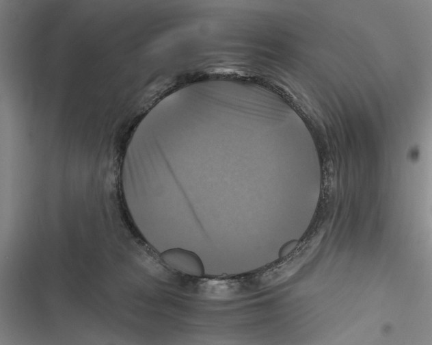X0000116800277201001151129