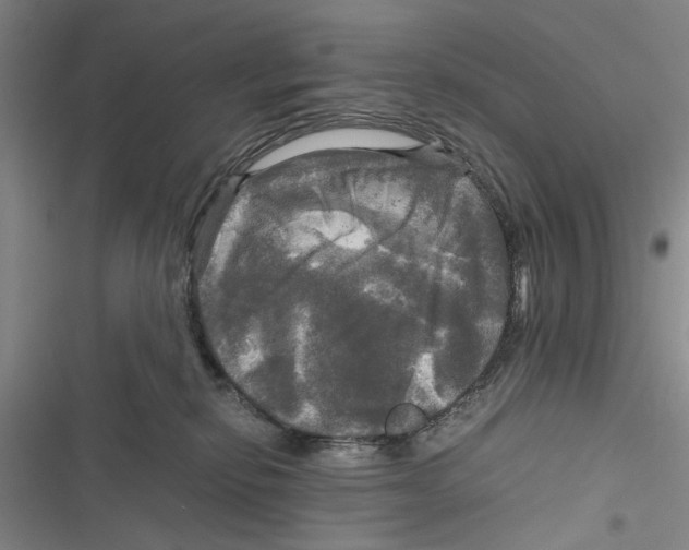 X0000116800278201001151129