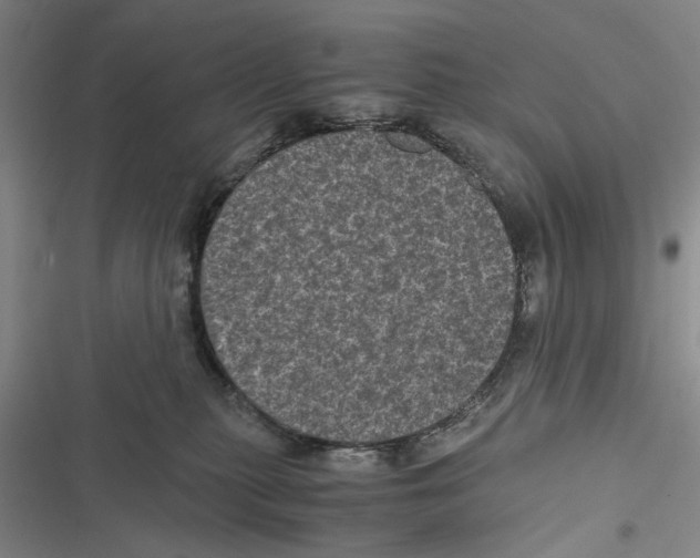 X0000116800279201001151129