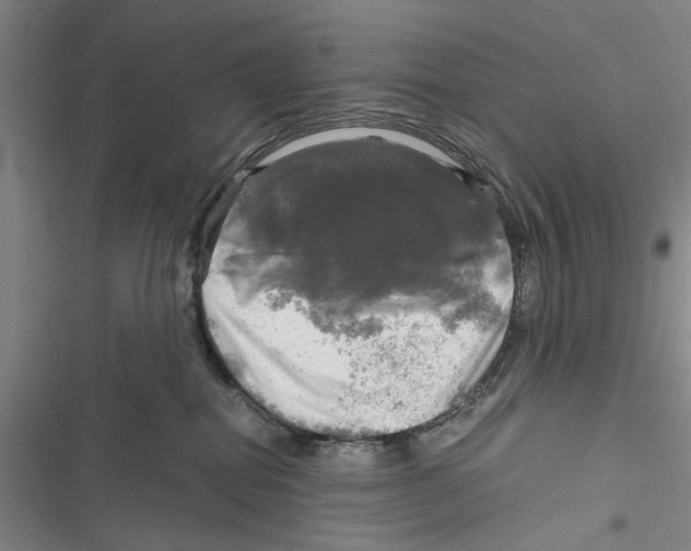 X0000116800282201001151129