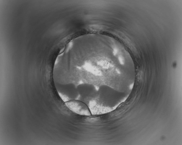 X0000116800283201001151129