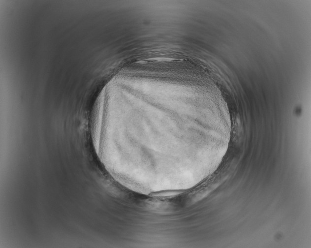 X0000116800284201001151129