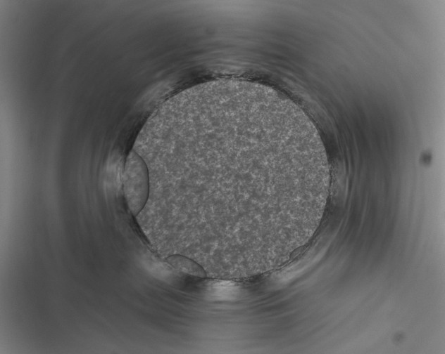 X0000116800287201001151129
