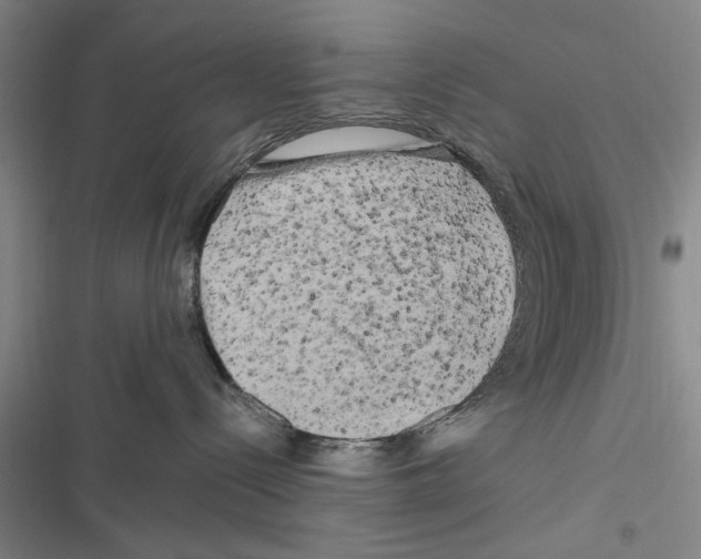 X0000116800288201001151129