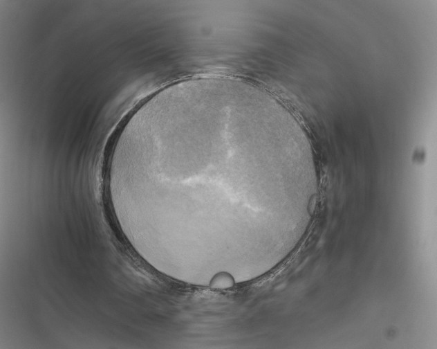 X0000116800290201001151128