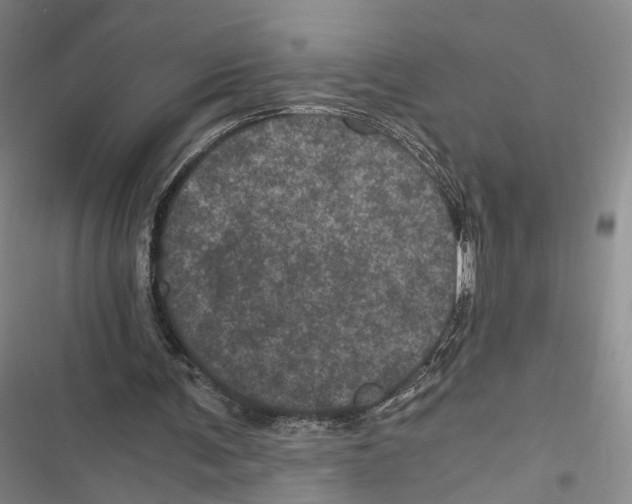 X0000116800291201001151128