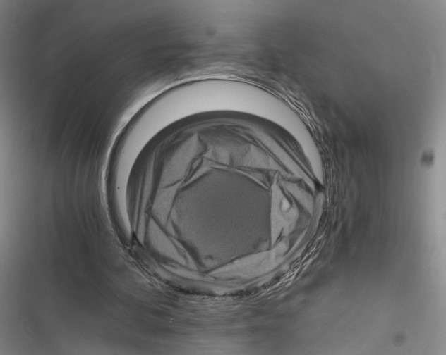 X0000116800292201001151128