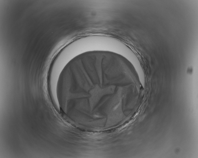 X0000116800293201001151128