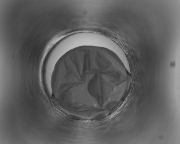 X0000116800294201001151128