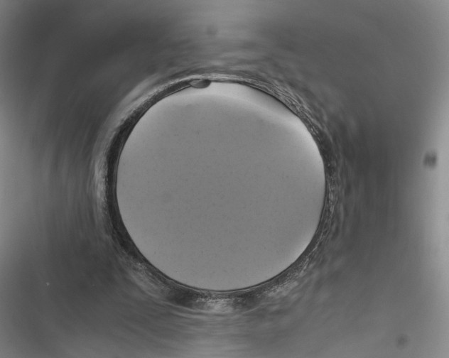 X0000116800295201001151128