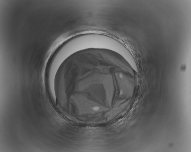 X0000116800296201001151128
