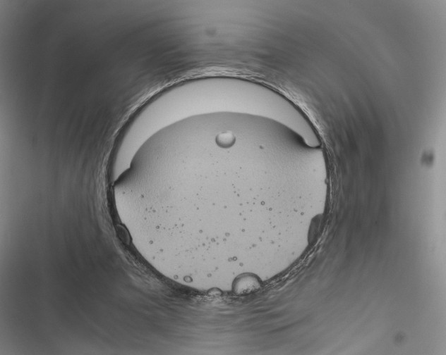 X0000116800297201001151128