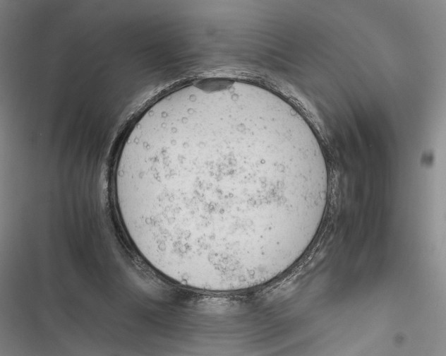 X0000116800298201001151128