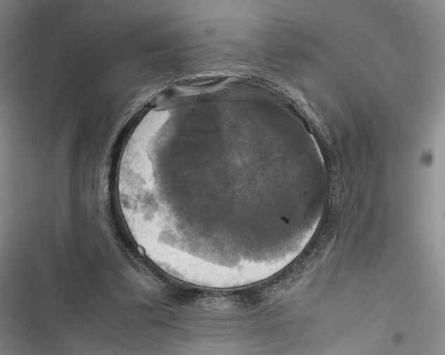 X0000116800299201001151128