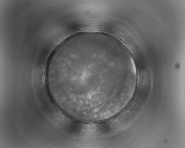 X0000116800301201001151128