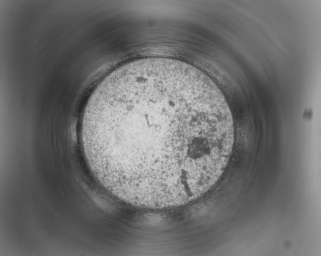 X0000116800302201001151128