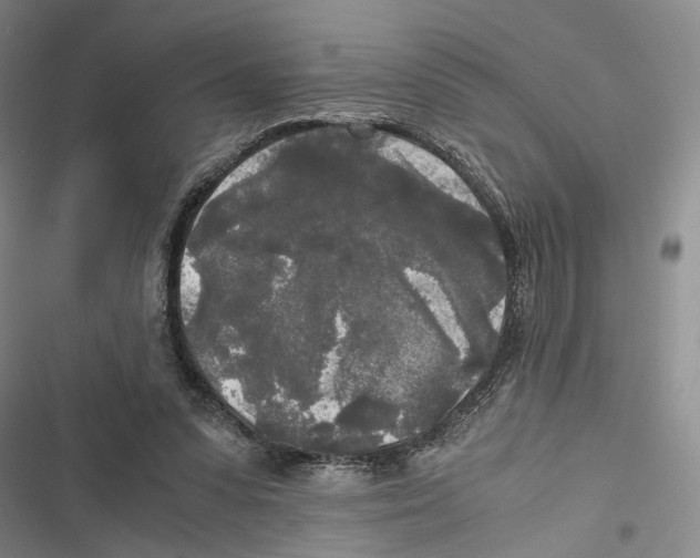 X0000116800303201001151128