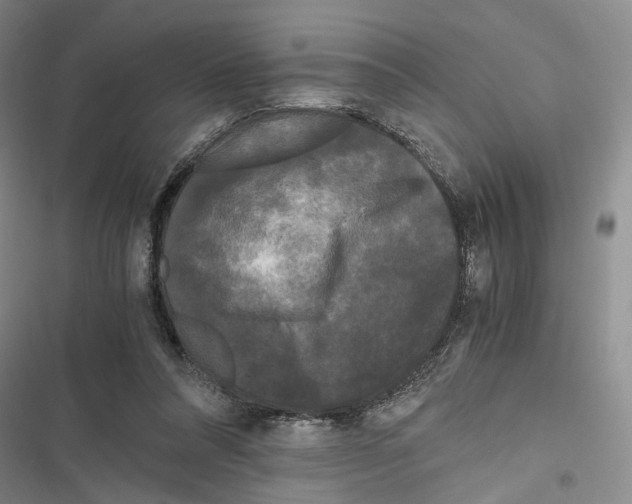 X0000116800304201001151128