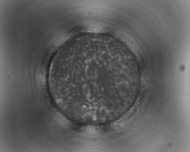 X0000116800305201001151128