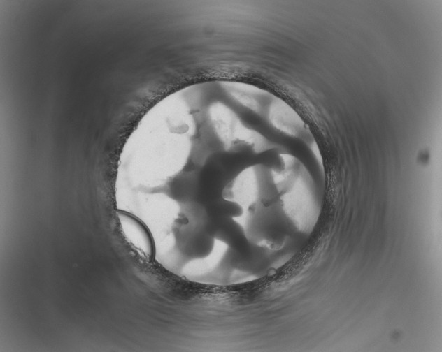 X0000116800307201001151128
