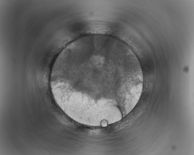 X0000116800309201001151128