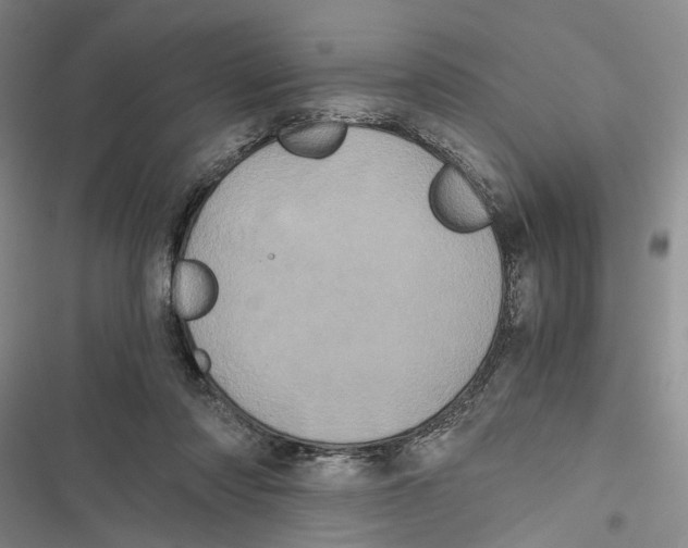 X0000116800310201001151128