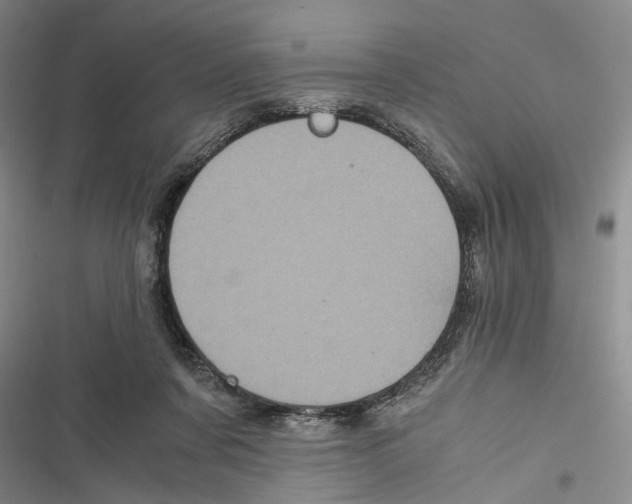 X0000116800311201001151128