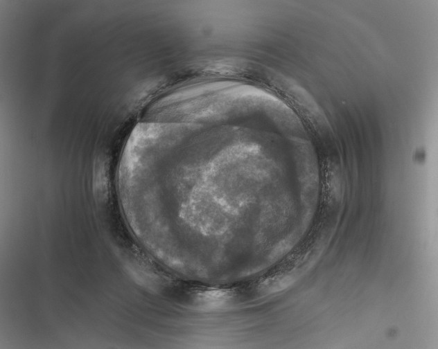 X0000116800312201001151128