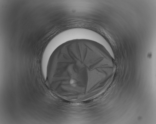 X0000116800313201001151128
