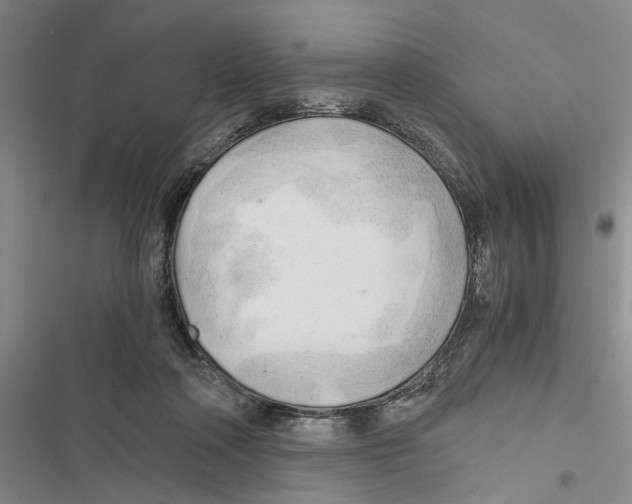 X0000116800314201001151128