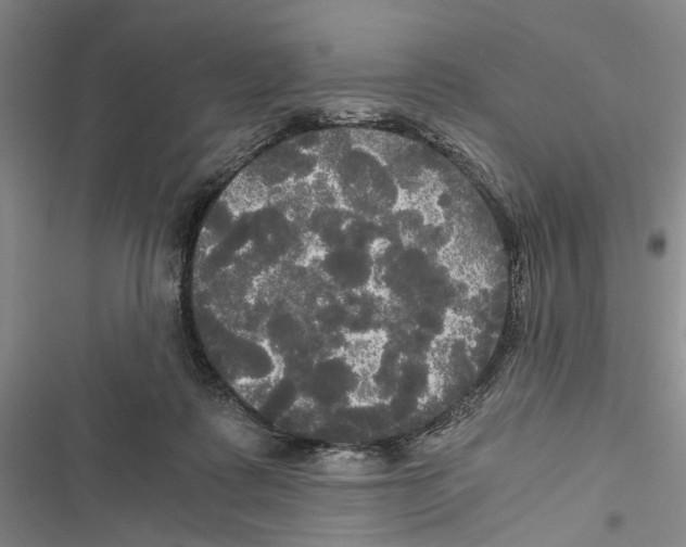 X0000116800315201001151128