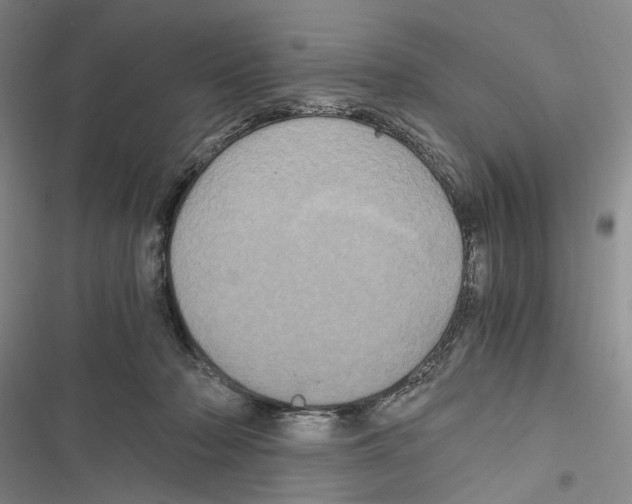 X0000116800318201001151128