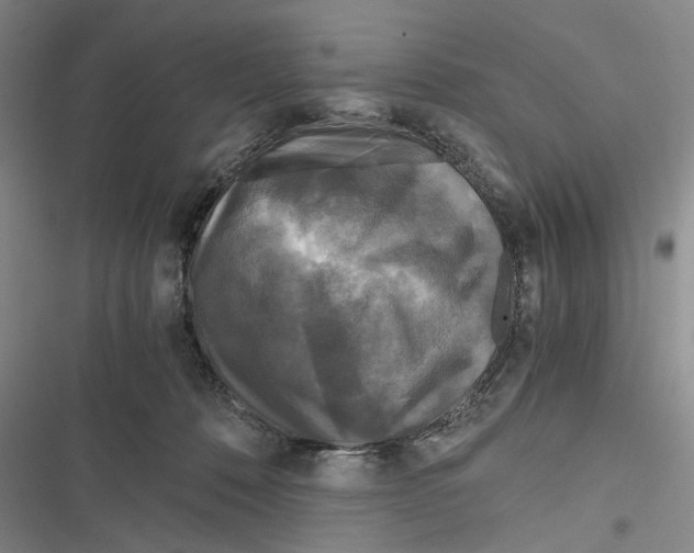 X0000116800320201001151128