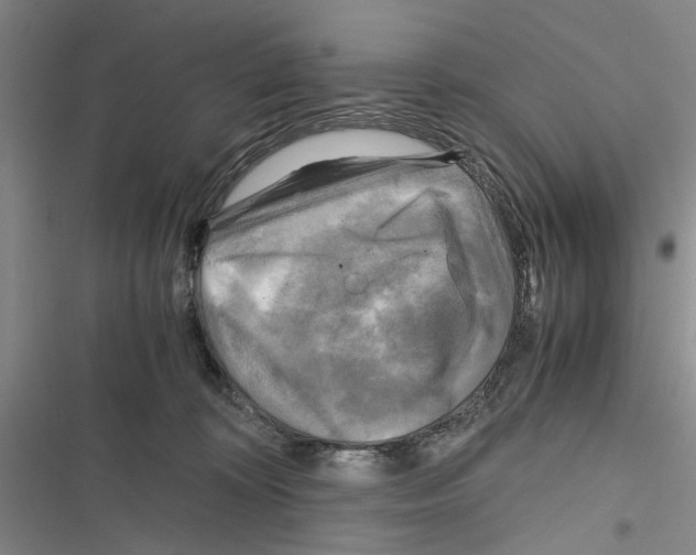 X0000116800324201001151128