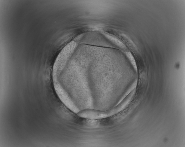 X0000116800325201001151128