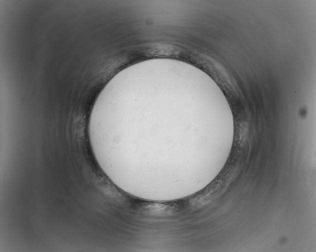 X0000116800326201001151128