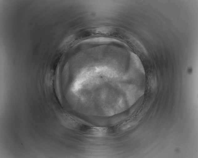 X0000116800328201001151128