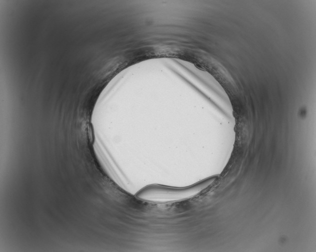 X0000116800329201001151128
