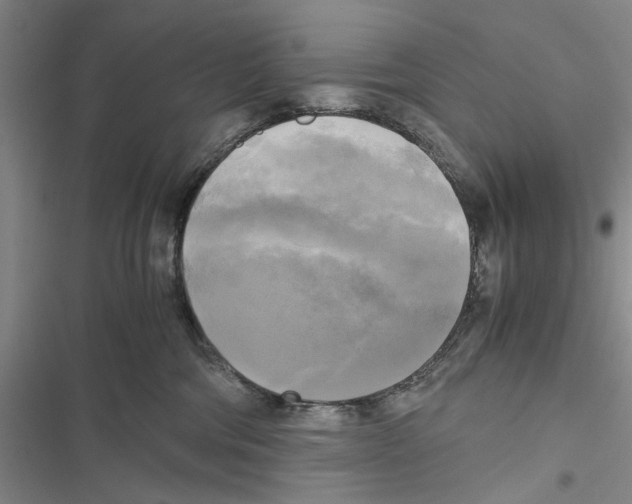 X0000116800330201001151128